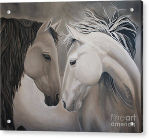 Wild Horses - Acrylic Print