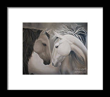 Load image into Gallery viewer, Wild Horses - Framed Print
